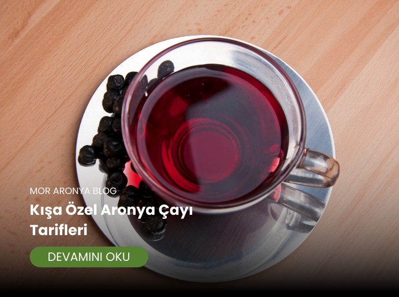 Kışa Özel Aronya Çayı Tarifleri