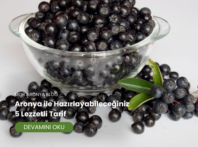 Aronya ile Hazırlayabileceğiniz 5 Lezzetli Tarif