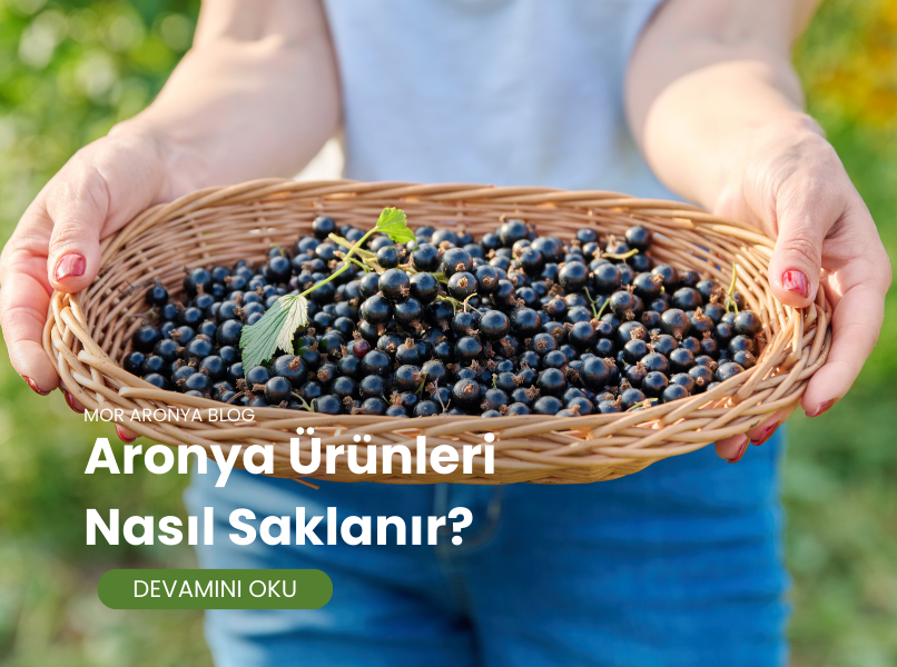 Aronya Ürünleri Nasıl Saklanır?