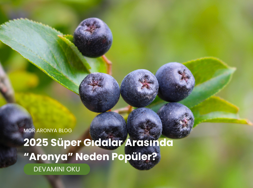 2025 Süper Gıdalar Arasında Aronya Neden Popüler?