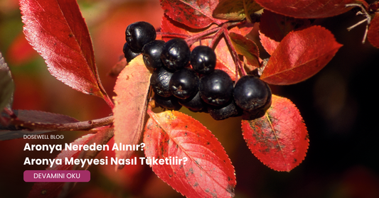 Aronya Nereden Alınır? Aronya Meyvesi Nasıl Tüketilir?