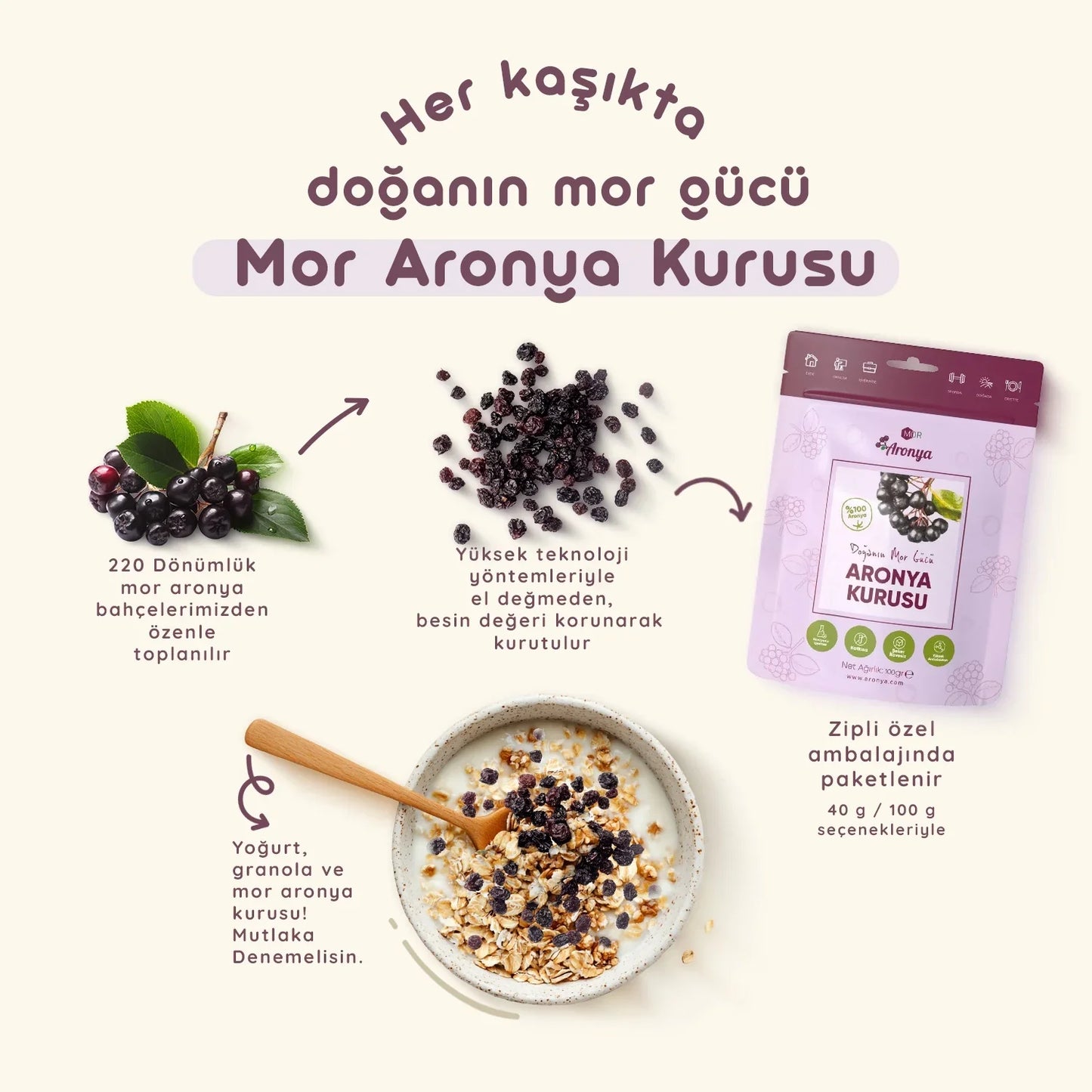 Mor Aronya Kurusu 100 gr