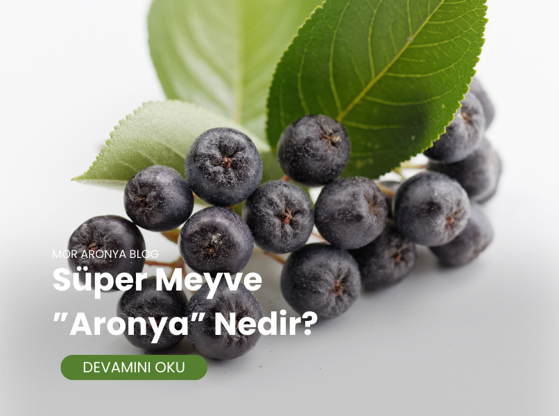 Süper Meyve “Aronya” Nedir?