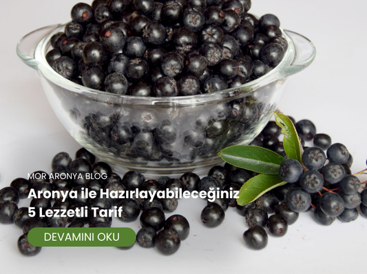 Aronya ile Hazırlayabileceğiniz 5 Lezzetli Tarif