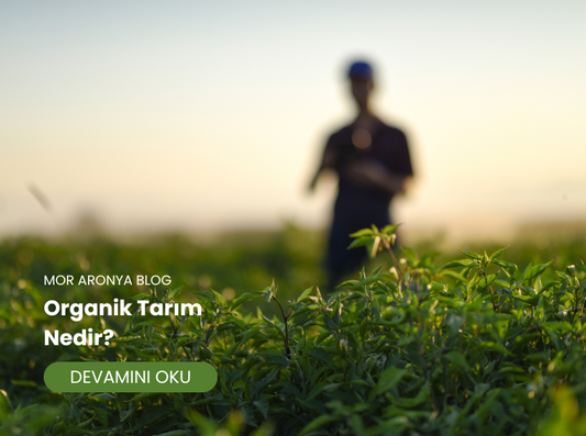 Organik Tarım Nedir, Nasıl Yapılır?