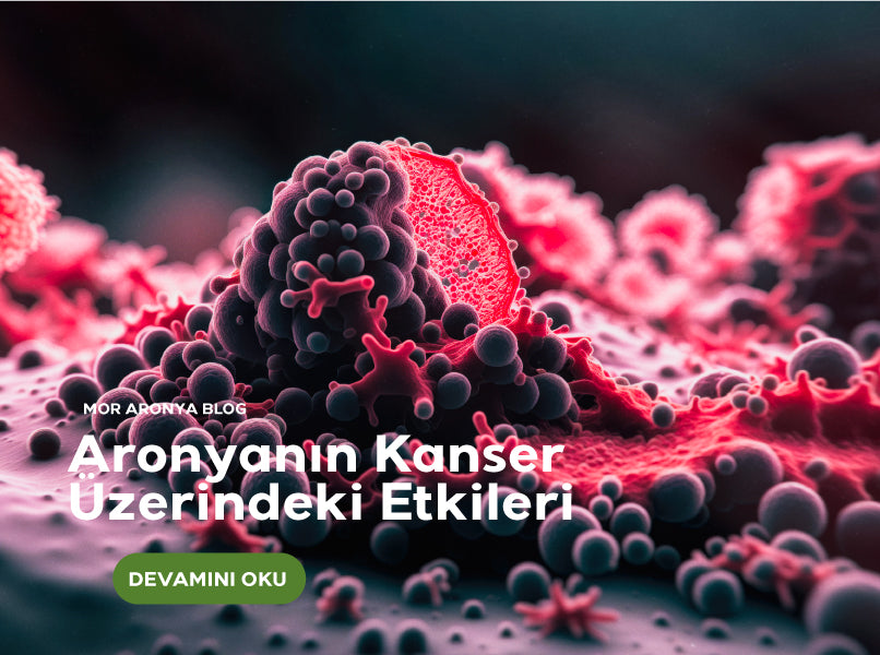 Aronya ve Kanser Üzerindeki Etkileri