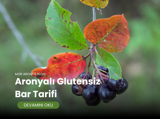 Glutensiz Bar Tarifi: Aronyalı