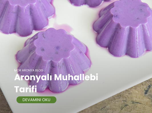 Muhallebi Tarifi: Aronyalı