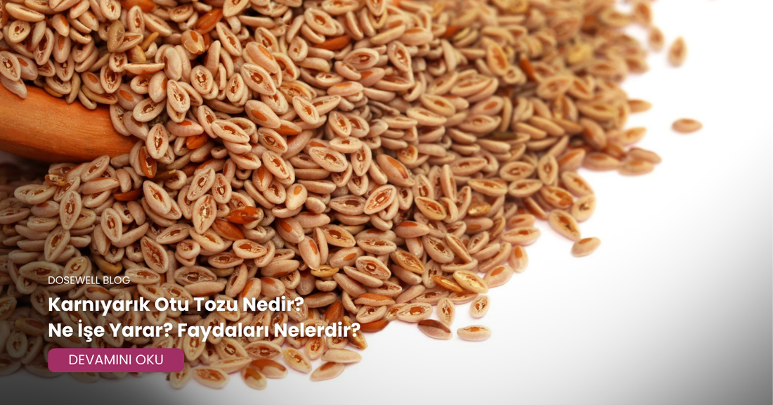 Karnıyarık Otu Tozu Nedir? Ne İşe Yarar? Faydaları Nelerdir?