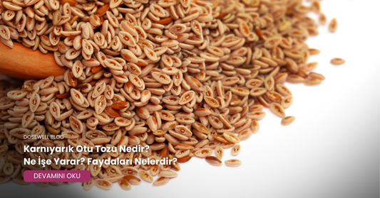 Karnıyarık Otu Tozu Nedir? Ne İşe Yarar? Faydaları Nelerdir?