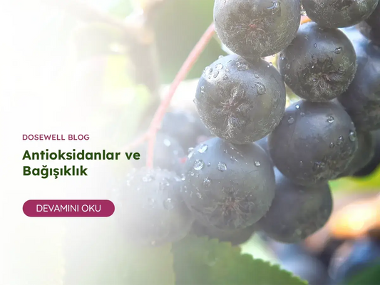 Antioksidanlar ve Bağışıklık - Dosewell