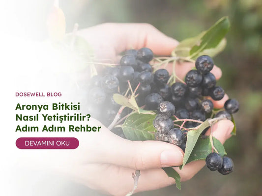 Aronya Bitkisi Nasıl Yetiştirilir? - Dosewell