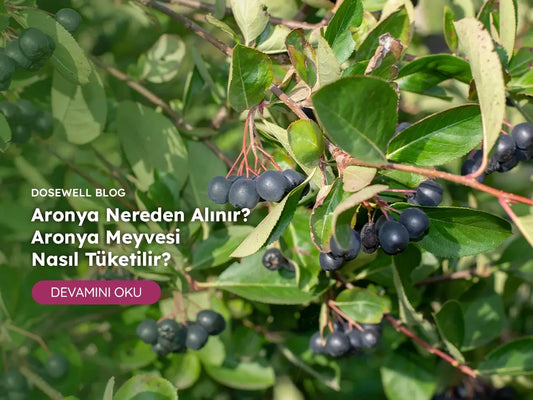 Dosewell Aronya Meyvesi Nereden Alınır - Tüketim Rehberi 