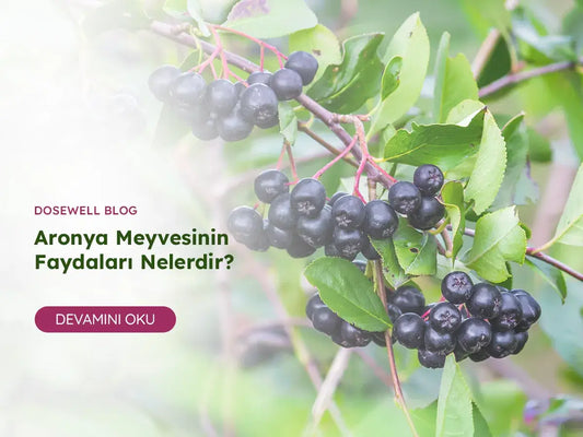 Aronya Meyvesinin Faydaları Nelerdir? - Dosewell