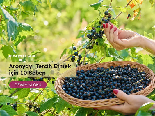 Aronyayı Tercih Etmek İçin 10 Sebep - Dosewell