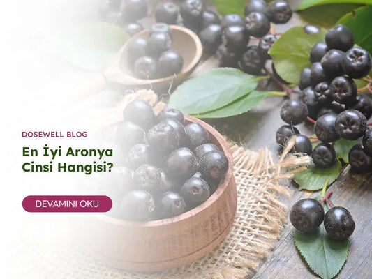 En İyi Aronya Cinsi Hangisi? - Dosewell