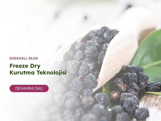 Gıda Kurutma ve Freeze Dry Teknolojisi - Dosewell