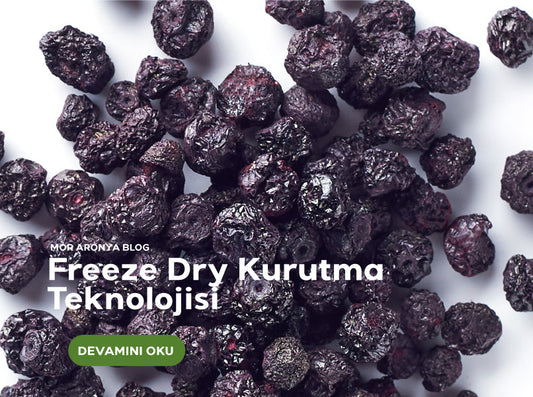 Gıda kurutma ve Freeze Dry Teknolojisi