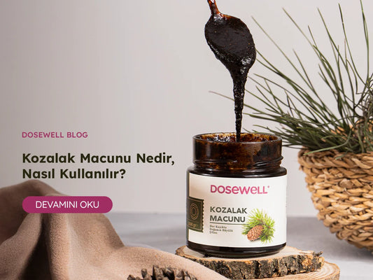 Kozalak Macunu Nedir? Nasıl Kullanılır?