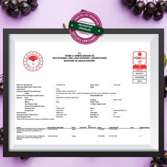 Taze Aronya Meyvesi 1 Kg