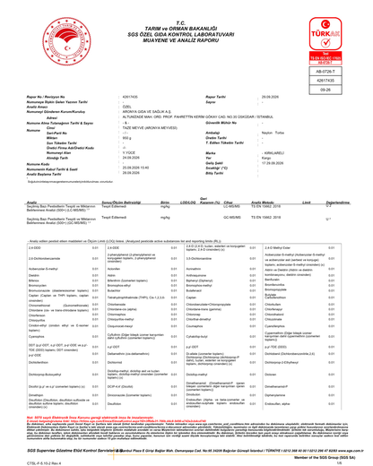 Taze Aronya Meyvesi 1 Kg