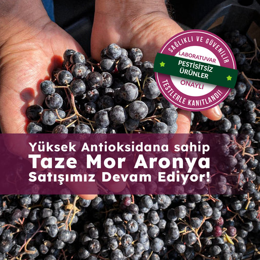 Taze Aronya Meyvesi 1 Kg